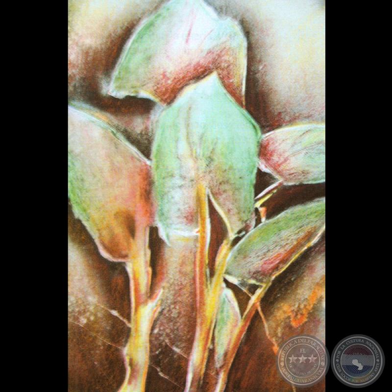 EVASIONES PEREGRINAS, 2006 - Ilustraciones de Diana Mercedes Rossi