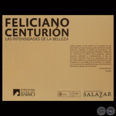 LAS INTENSIDADES DE LA BELLEZA - C.C.E. JUAN DE SALAZAR 2013 - Obras de FELICIANO CENTURIN