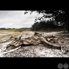 Fotografía de Martín Lange