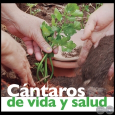 CÁNTAROS DE VIDA Y SALUD - Fotos de JAVIER VALDEZ