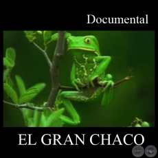 EL GRAN CHACO (Documental) - Dirección: JAVIER TRUEBA