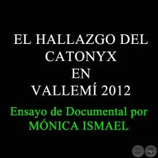 EL HALLAZGO DEL CATONYX EN VALLEMÍ 2012
