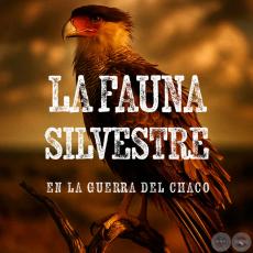 La Fauna Silveste, Guerra Del Chaco - Por JOSÉ ALCIDES BÁEZ