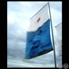 BANDERAS DEL BICENTENARIO, 2011 - Obras de ALICIA VEGA