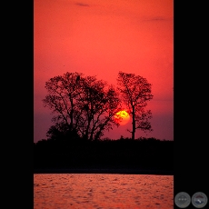 ATARDECER - Fotografa de Fernando Allen