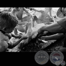 NIÑOS Y CHANCHO - Fotografía: Carlos Bittar - Año 12/1990 