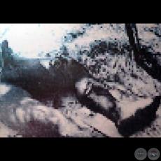 GUERRA DEL CHACO, 2013 - Óleo sobre lienzo de EMMANUEL FRETES ROY