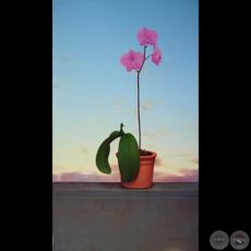 Obra de Sebastián Díaz