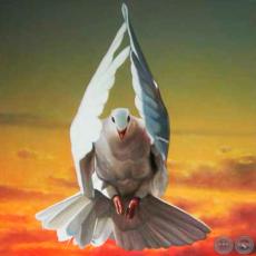 SIN TÍTULO, 2012 (DETALLE) - Óleo sobre lienzo de EMMANUEL FRETES ROY