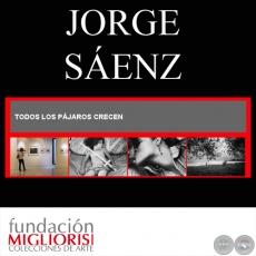 TODOS LOS PÁJAROS CRECEN - Ensayo fotográfico de JORGE SÁENZ