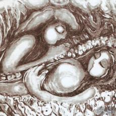 RUPAVE y SYPAVE - Ilustración de Graciela Nery Huerta