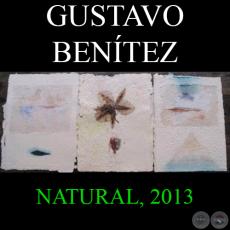 NATURAL, 2013 - Obras de GUSTAVO BENÍTEZ