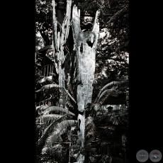 CRISTO ITINERANTE, Circa 1963 - Escultura de HERMANN GUGGIARI