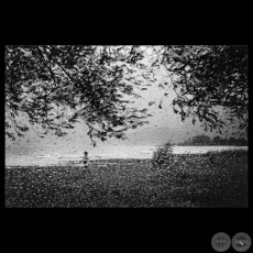 IGNACIO EN LAGO PUELO. 2000 - Fotografa de JORGE SENZ