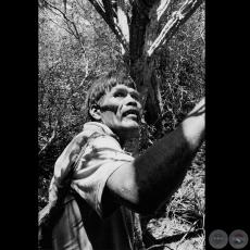 INDÍGENAS DEL PARAGUAY, 2007 - Fotografía de JUAN BRITOS