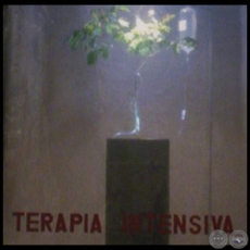 TERAPIA INTENSIVA - Instalación de JUAN PABLO PISTILLI