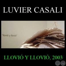 LLOVIÓ Y LLOVIÓ, 2003 - Instalación de LUVIER CASALI