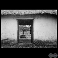 LA SOLEDAD, 1995 - Fotografía de MELVIN ROLDÁN