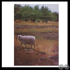 PAISAJE CHAQUEÑO 7