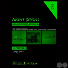 NIGHT (SHOT), 2015 - Exposición de GABRIELA ZUCCOLILLO