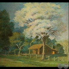 LAPACHO BLANCO - Óleo de PABLO ALBORNO