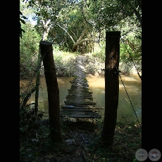 MI PARAGUAY PROFUNDO (Exposición) - Año 2009