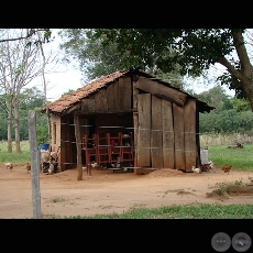 MI PARAGUAY PROFUNDO (Exposicin) - Ao 2009