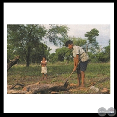 LO COTIDIANO - Fotografa de Amadeo Velzquez