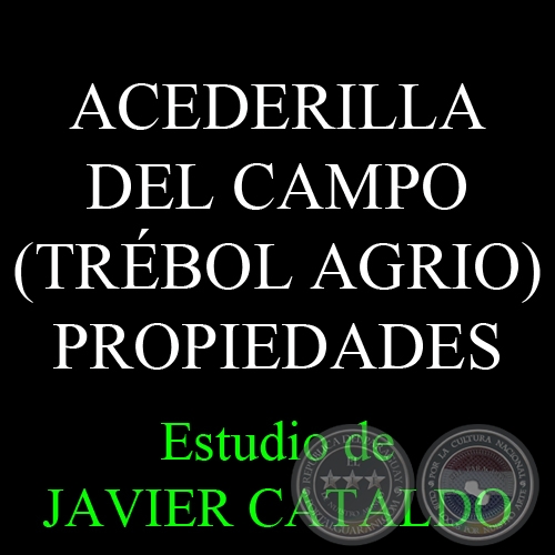 ACEDERILLA DEL CAMPO (TRÉBOL AGRIO) - PROPIEDADES - Estudio de JAVIER CATALDO