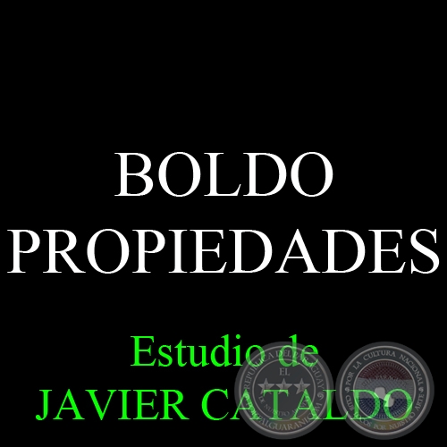 BOLDO - PROPIEDADES - Estudio de JAVIER CATALDO