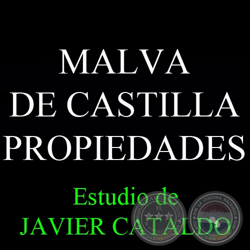 MALVA DE CASTILLA - PROPIEDADES - Estudio de JAVIER CATALDO