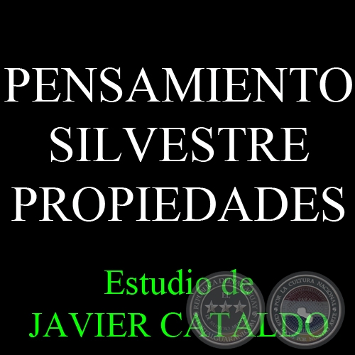 PENSAMIENTO SILVESTRE - PROPIEDADES - Estudio de JAVIER CATALDO