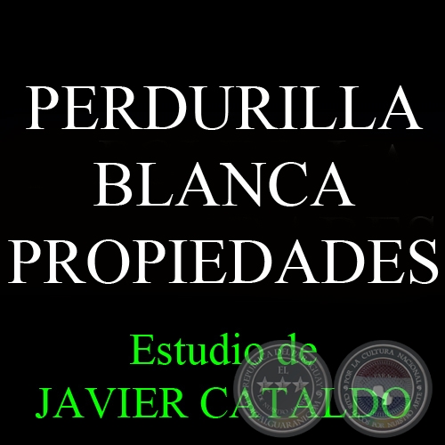 PERDURILLA BLANCA - PROPIEDADES - Estudio de JAVIER CATALDO