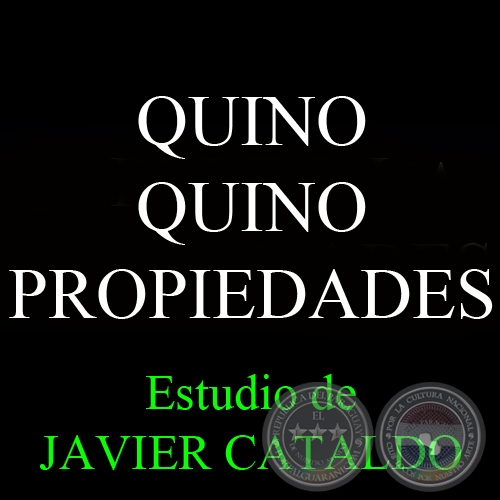 QUINO QUINO - PROPIEDADES - Estudio de JAVIER CATALDO