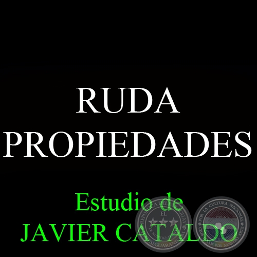 RUDA - PROPIEDADES - Estudio de JAVIER CATALDO