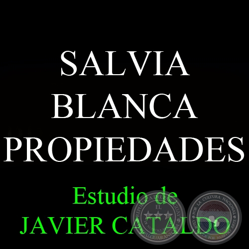 SALVIA BLANCA - PROPIEDADES - Estudio de JAVIER CATALDO