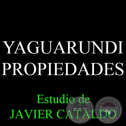 YAGUARUNDI - PROPIEDADES - Estudio de JAVIER CATALDO