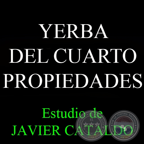 YERBA DEL CUADRO - PROPIEDADES - Estudio de JAVIER CATALDO