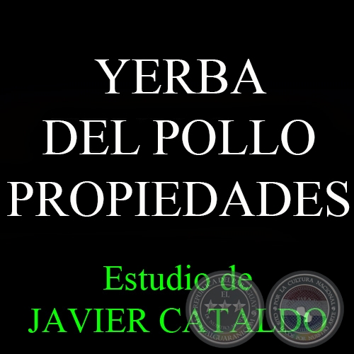 YERBA DEL POLLO - PROPIEDADES - Estudio de JAVIER CATALDO