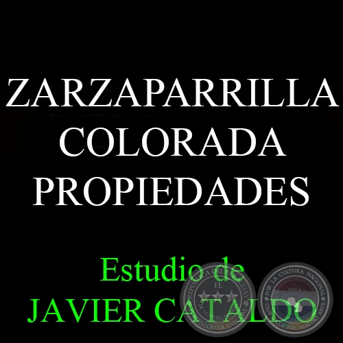 ZARZAPARRILLA COLORADA - PROPIEDADES - Estudio de JAVIER CATALDO