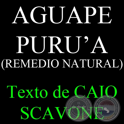 AGUAPE PURU’A (REMEDIO NATURAL) - Texto de CAIO SCAVONE