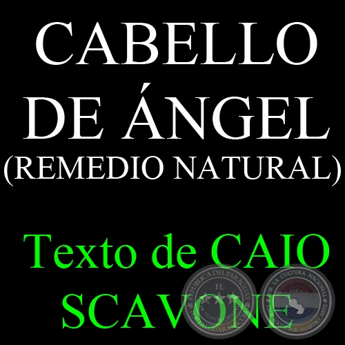 CABELLO DE ÁNGEL ( REMEDIO NATURAL) - Texto de CAIO SCAVONE 