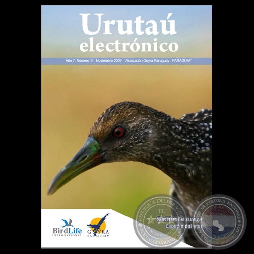 EL URUTAU ELECTRÓNICO - NOVIEMBRE 2009 - AÑO 7, NÚMERO 11 - ASOCIACIÓN GUYRA PARAGUAY