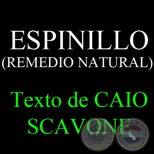ESPINILLO ( REMEDIO NATURAL) - Texto de CAIO SCAVONE