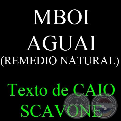 MBOI AGUAI (REMEDIO NATURAL) - Texto de CAIO SCAVONE