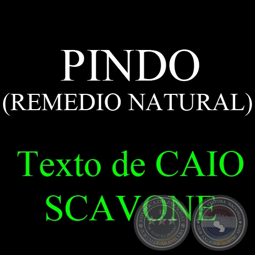 PINDO  ( REMEDIO NATURAL) - Texto de CAIO SCAVONE