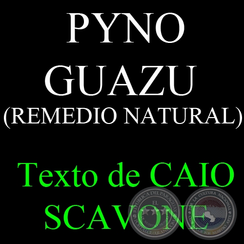 PYNO GUAZU (REMEDIO NATURAL) - Texto de CAIO SCAVONE