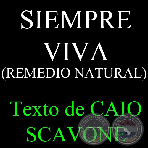SIEMPRE VIVA (REMEDIO NATURAL) - Texto de CAIO SCAVONE