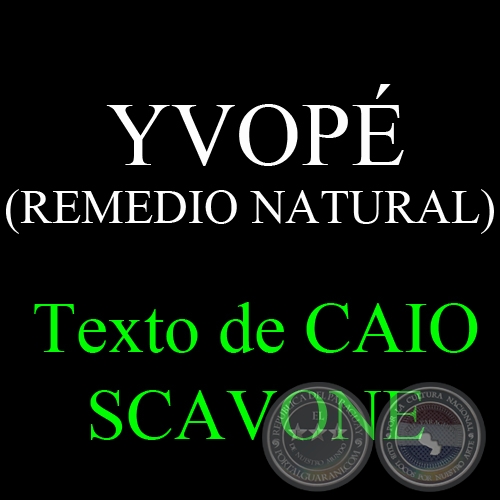 YVOPÉ (REMEDIO NATURAL) - Texto de CAIO SCAVONE