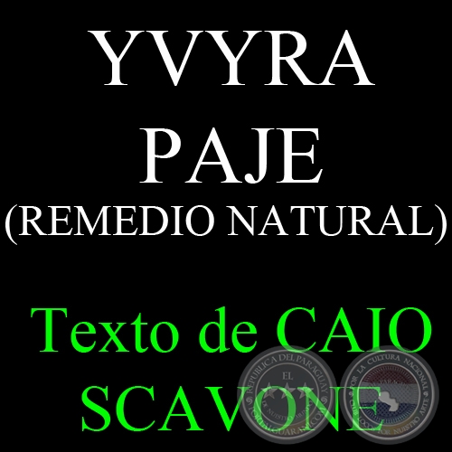 YVYRA PAJE (REMEDIO NATURAL) - Texto de CAIO SCAVONE